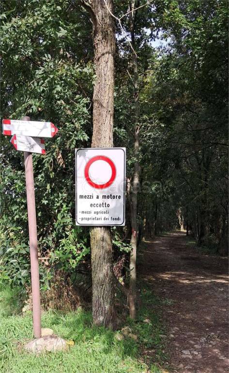 immagine annuncio 2 di 6