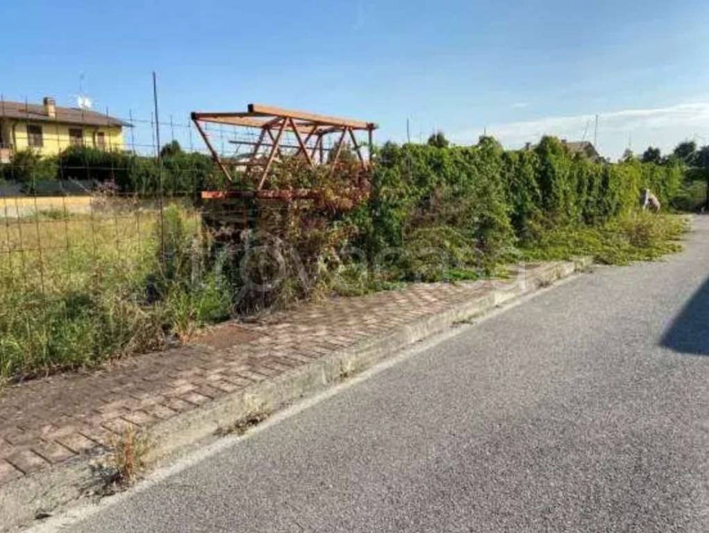 immagine annuncio 4 di 12