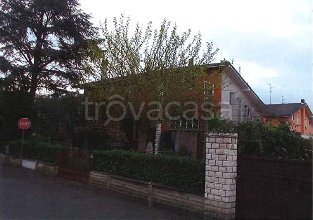 immagine annuncio 2 di 12