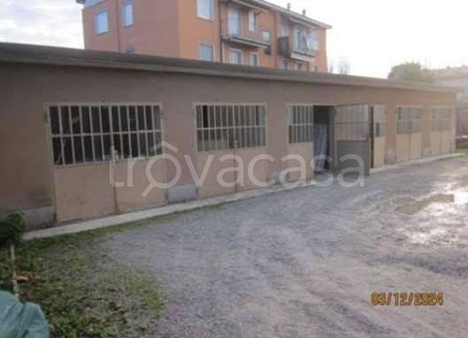immagine annuncio 3 di 11
