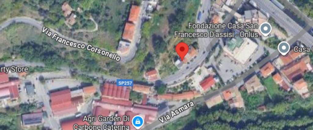 immagine annuncio 12 di 13