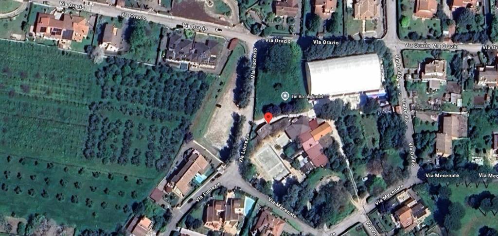 immagine annuncio 9 di 11