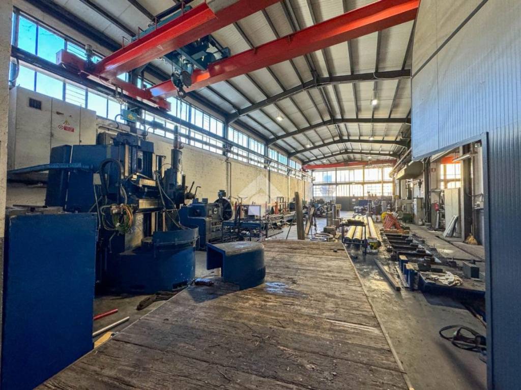 immagine annuncio 1 di 15