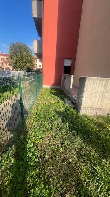 immagine annuncio 1 di 14
