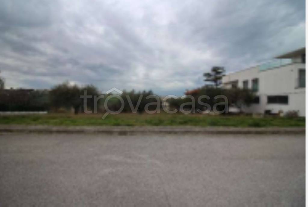 immagine annuncio 1 di 11