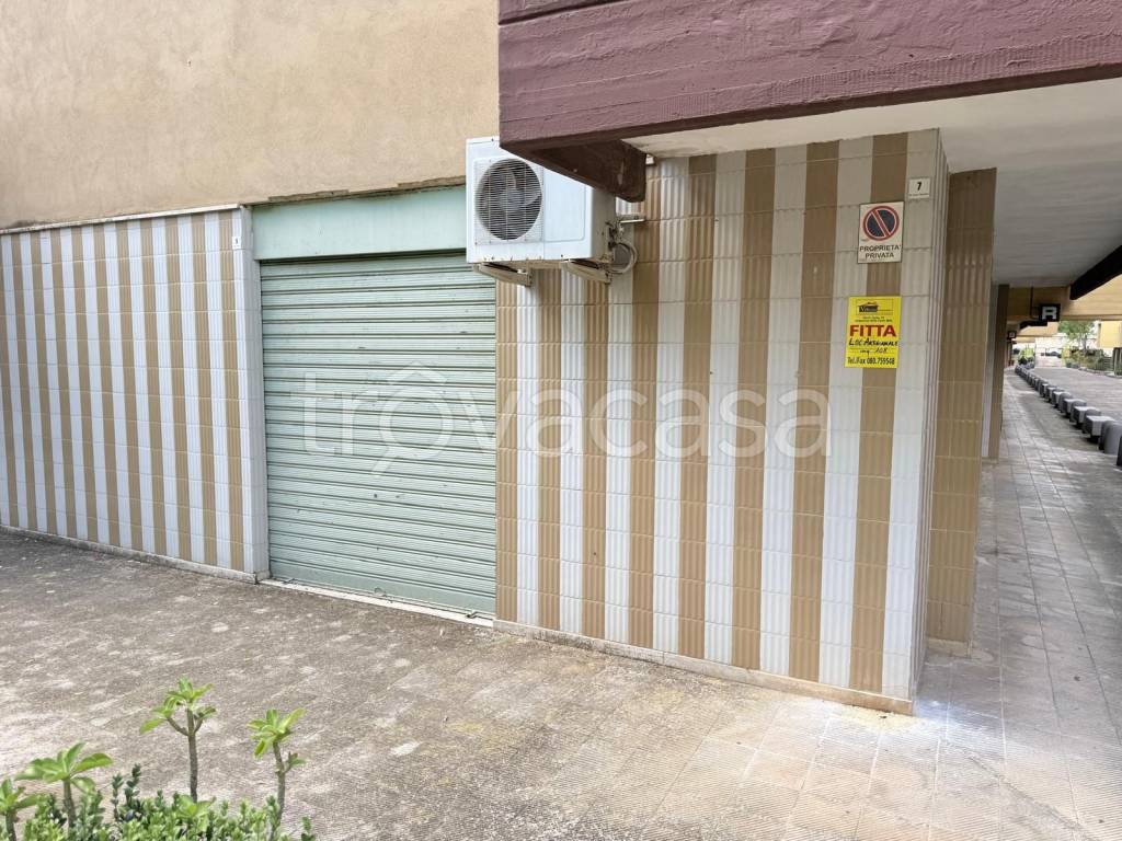 immagine annuncio 1 di 2