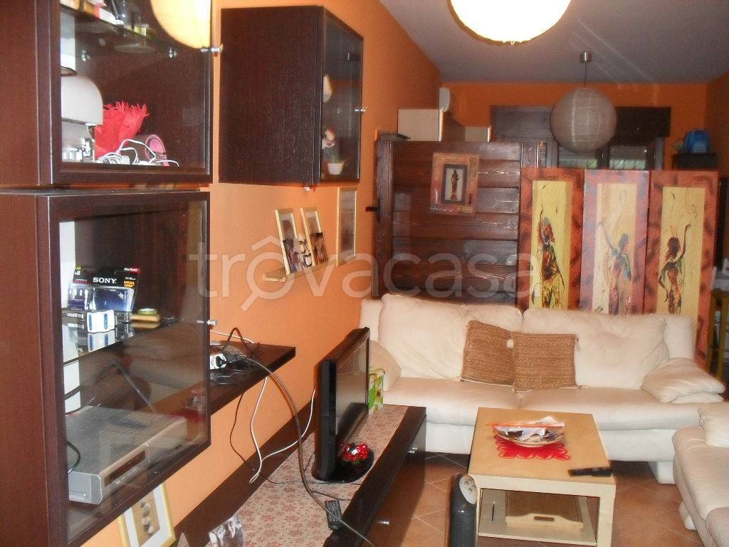 immagine annuncio 5 di 14