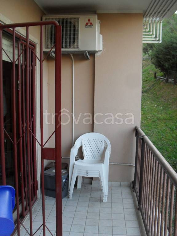 immagine annuncio 10 di 14