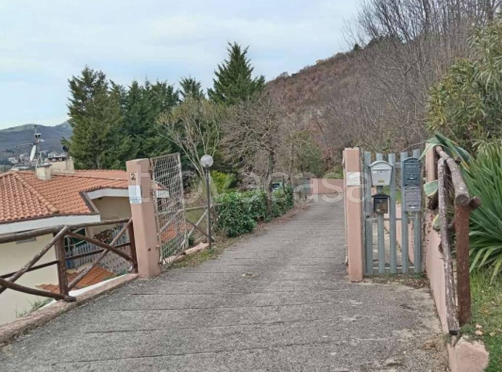 immagine annuncio 5 di 11