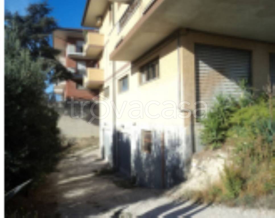 immagine annuncio 4 di 11