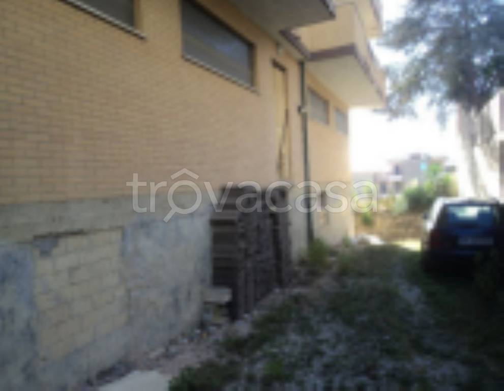 immagine annuncio 5 di 11