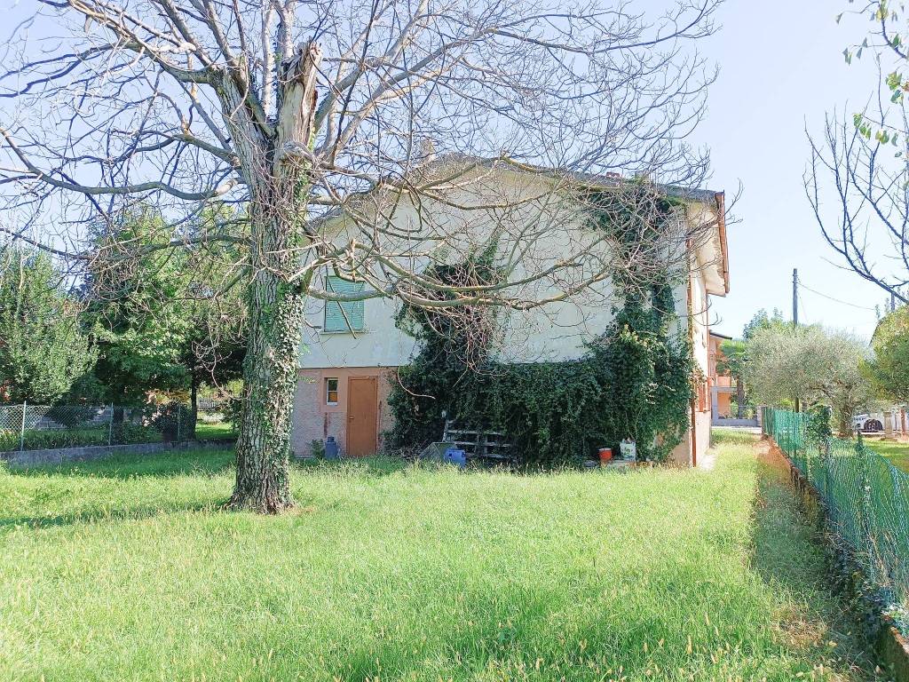immagine annuncio 4 di 8