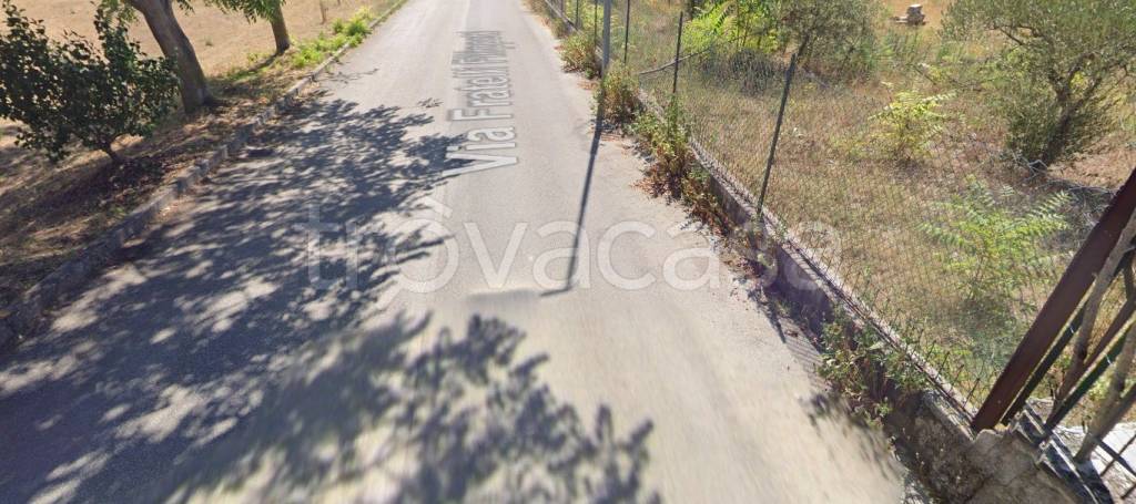 immagine annuncio 7 di 11