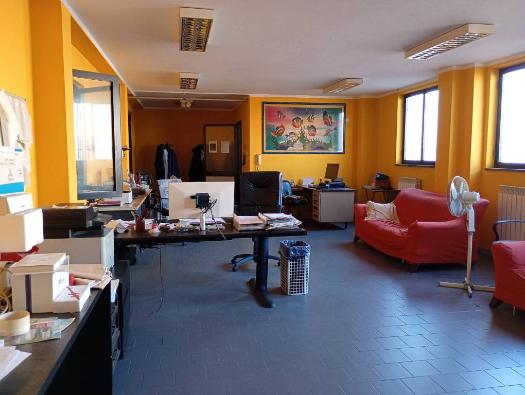 immagine annuncio 7 di 14