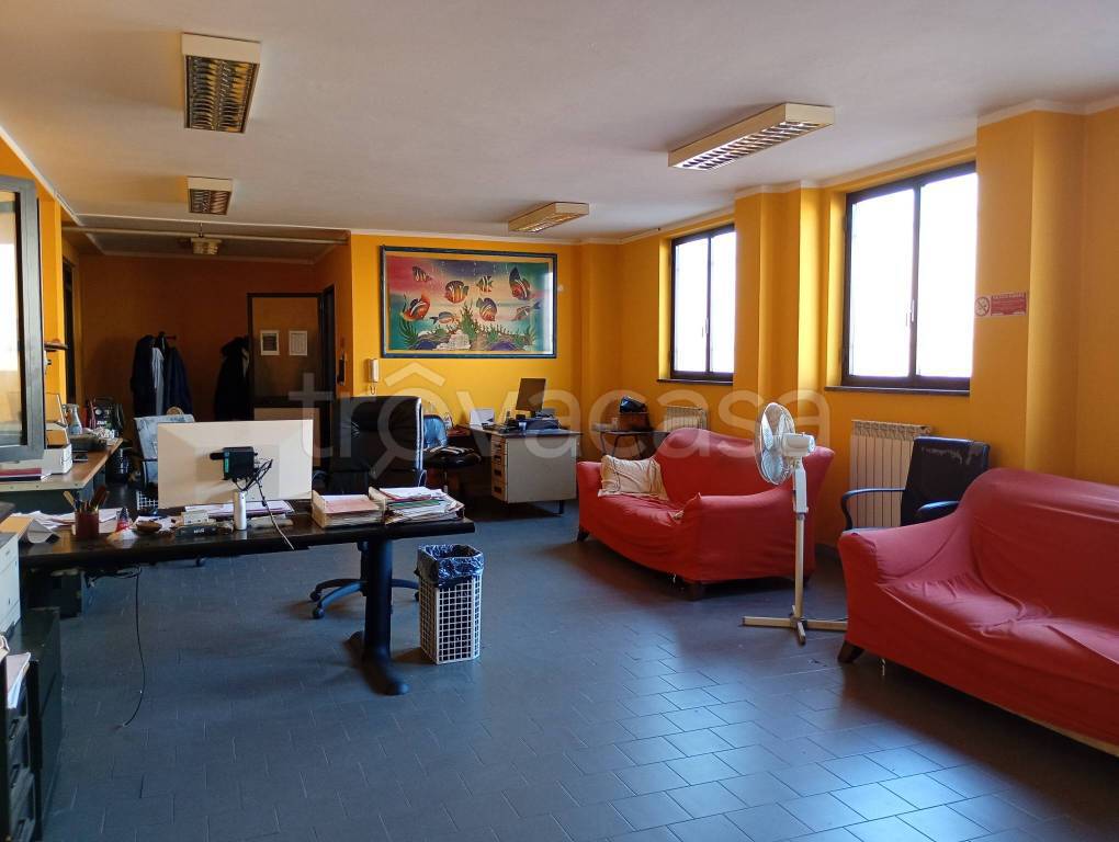 immagine annuncio 8 di 14