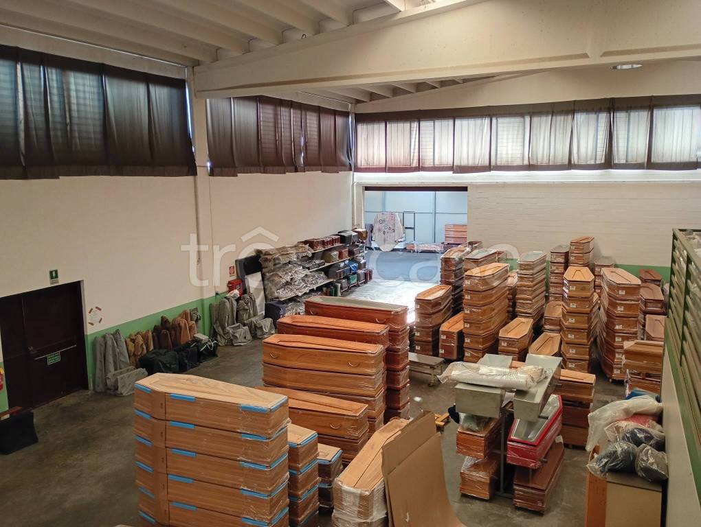 immagine annuncio 9 di 14