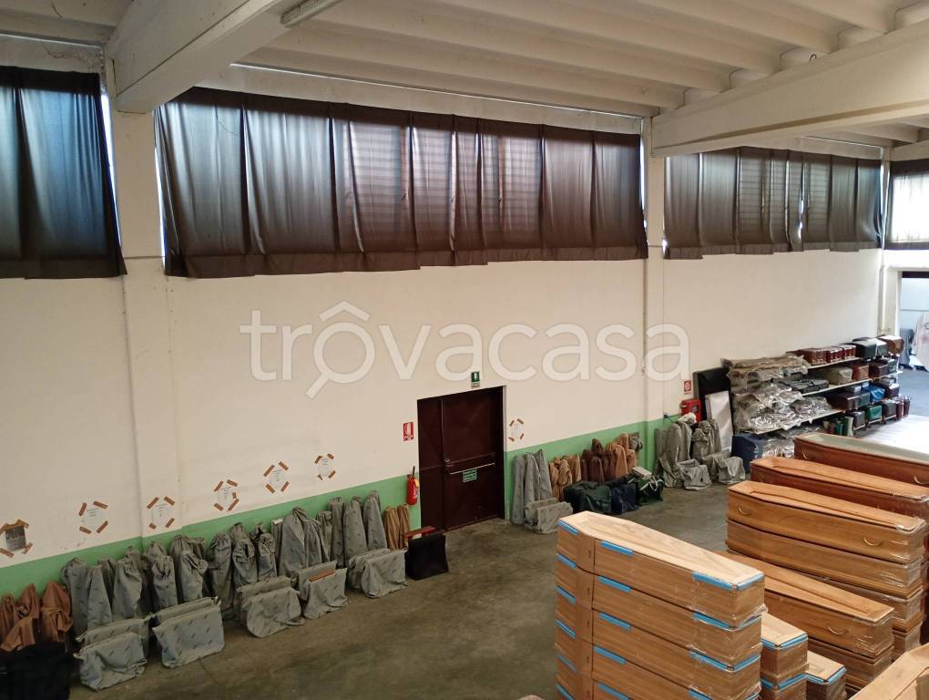 immagine annuncio 5 di 14