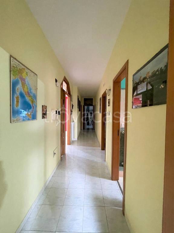 immagine annuncio 6 di 13