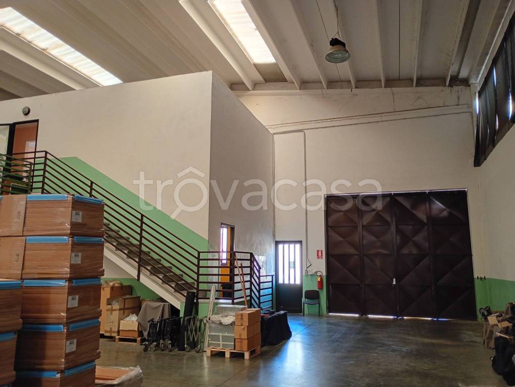 immagine annuncio 3 di 14