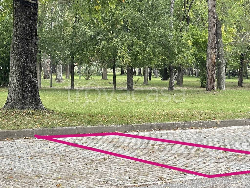 immagine annuncio 11 di 12