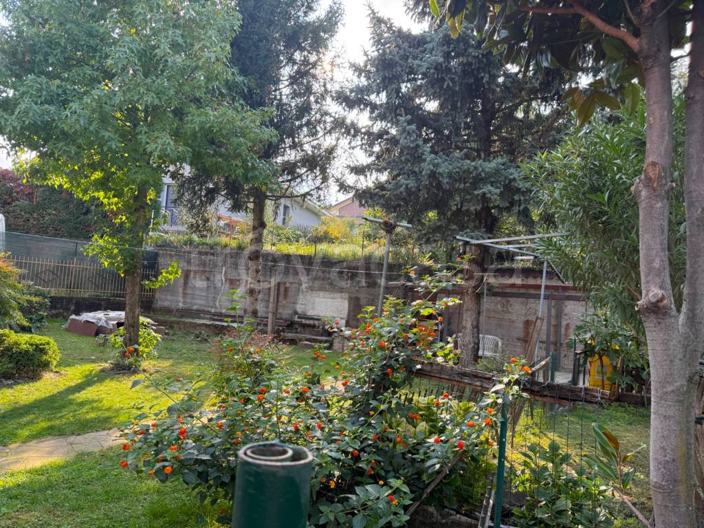 immagine annuncio 4 di 6