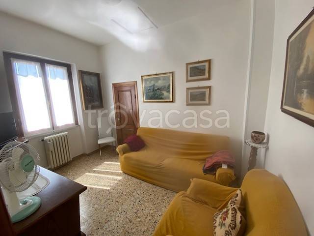 immagine annuncio 10 di 14