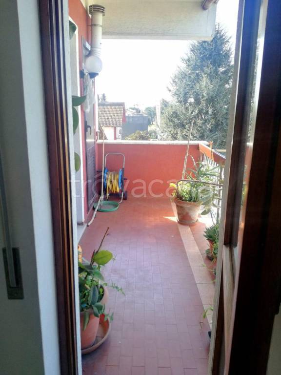 immagine annuncio 6 di 9