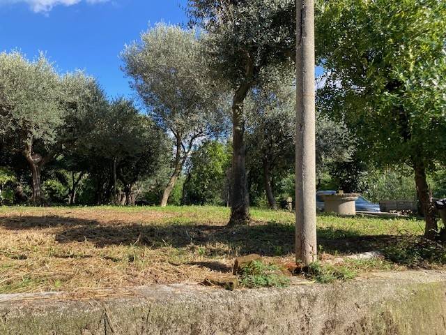immagine annuncio 6 di 11
