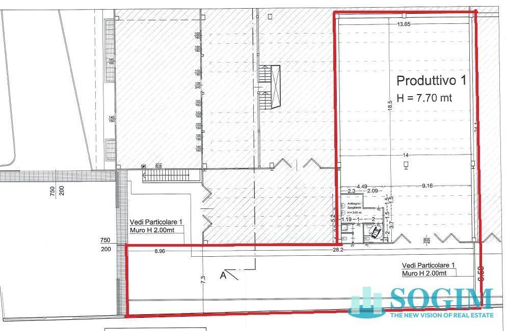 immagine annuncio 3 di 15