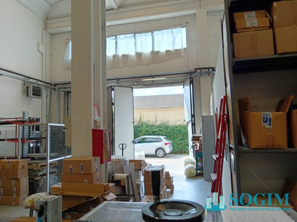 immagine annuncio 12 di 15