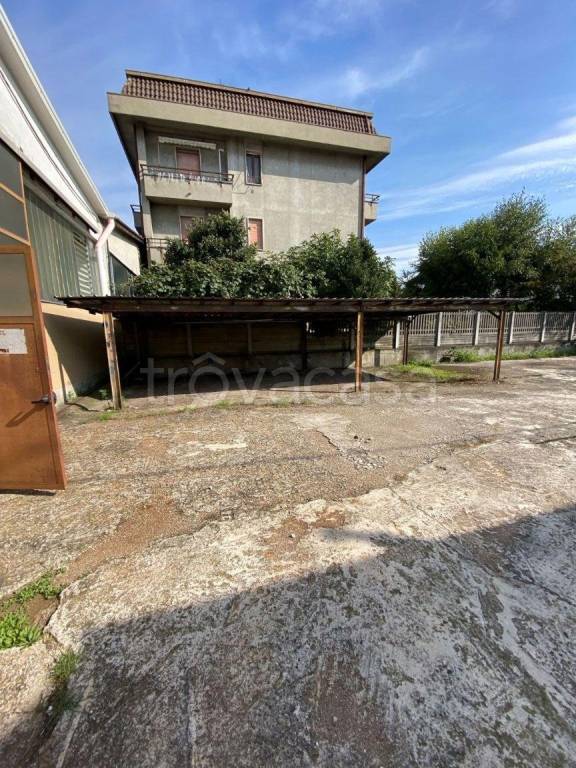 immagine annuncio 10 di 12