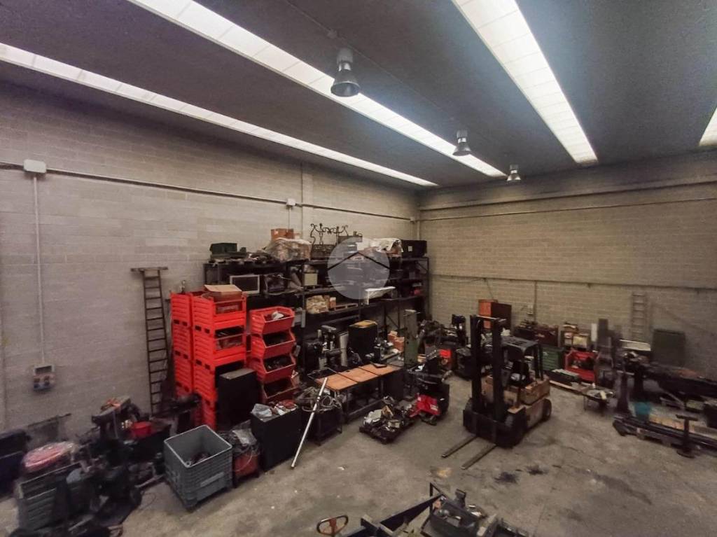 immagine annuncio 2 di 13