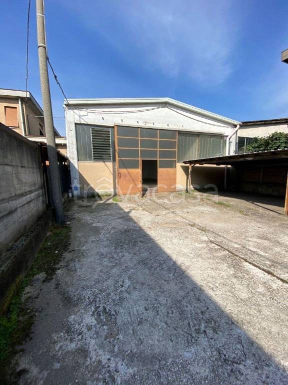 immagine annuncio 2 di 12