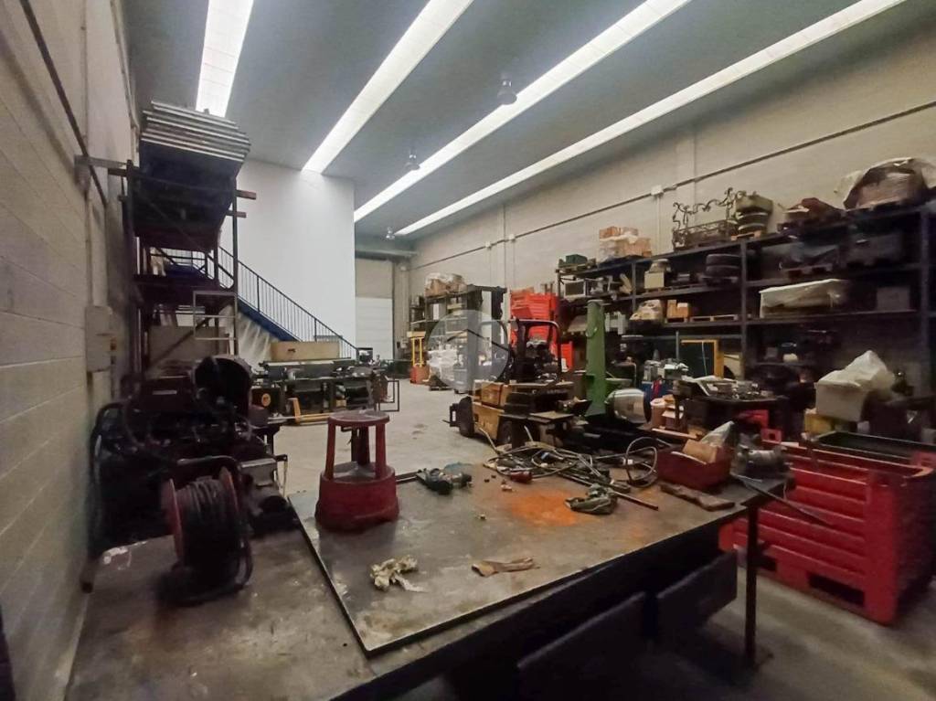 immagine annuncio 9 di 13