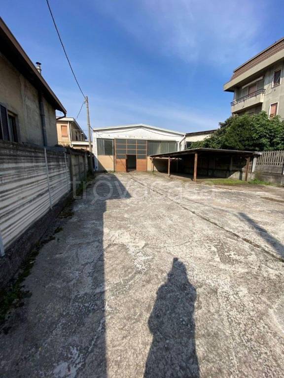 immagine annuncio 3 di 12