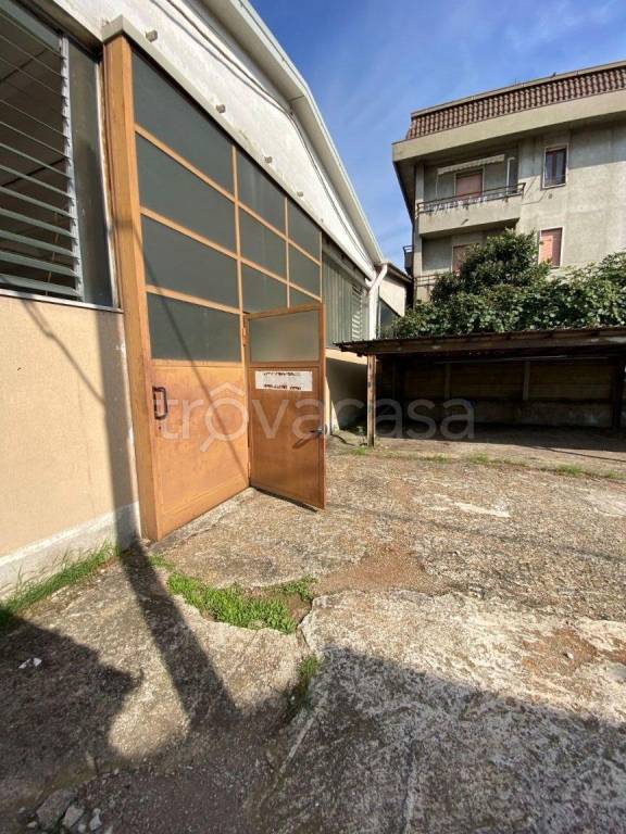 immagine annuncio 1 di 12