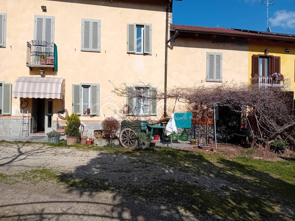 immagine annuncio 1 di 10