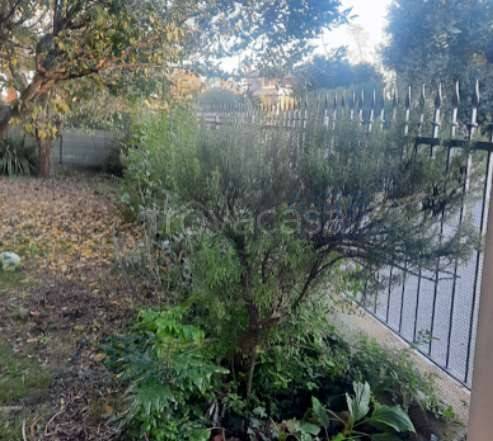 immagine annuncio 1 di 14