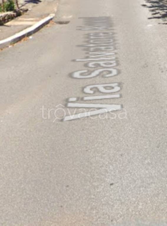 immagine annuncio 11 di 14