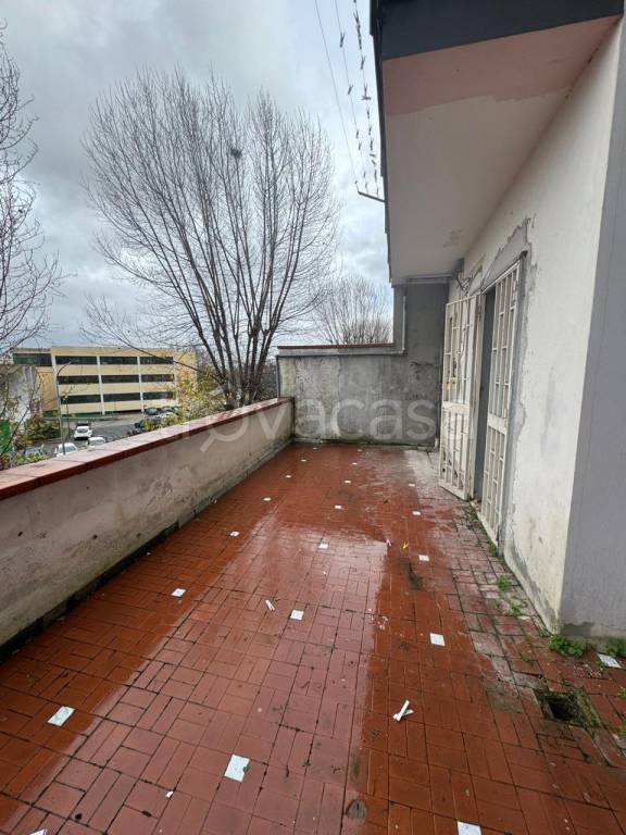 immagine annuncio 7 di 11