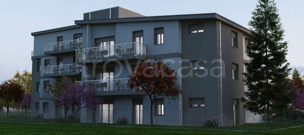 immagine annuncio 6 di 11