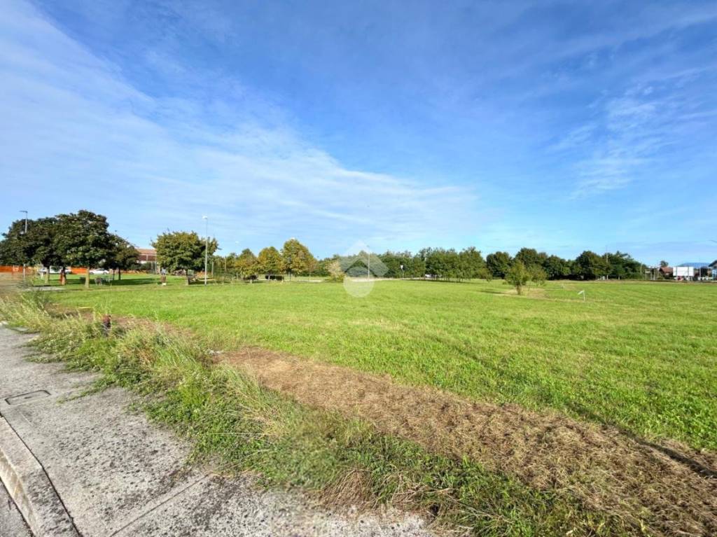 immagine annuncio 1 di 7