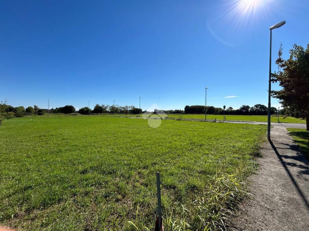 immagine annuncio 4 di 7