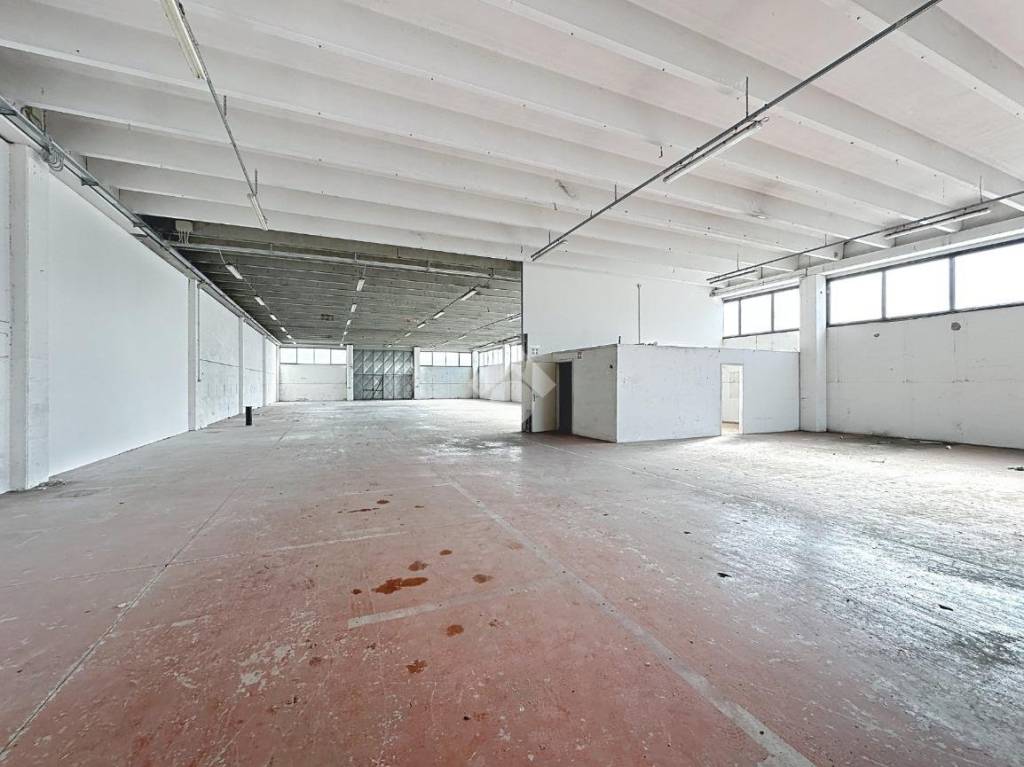 immagine annuncio 2 di 11