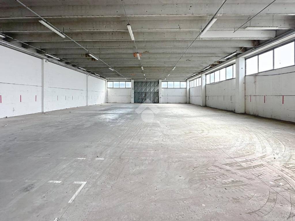 immagine annuncio 3 di 11