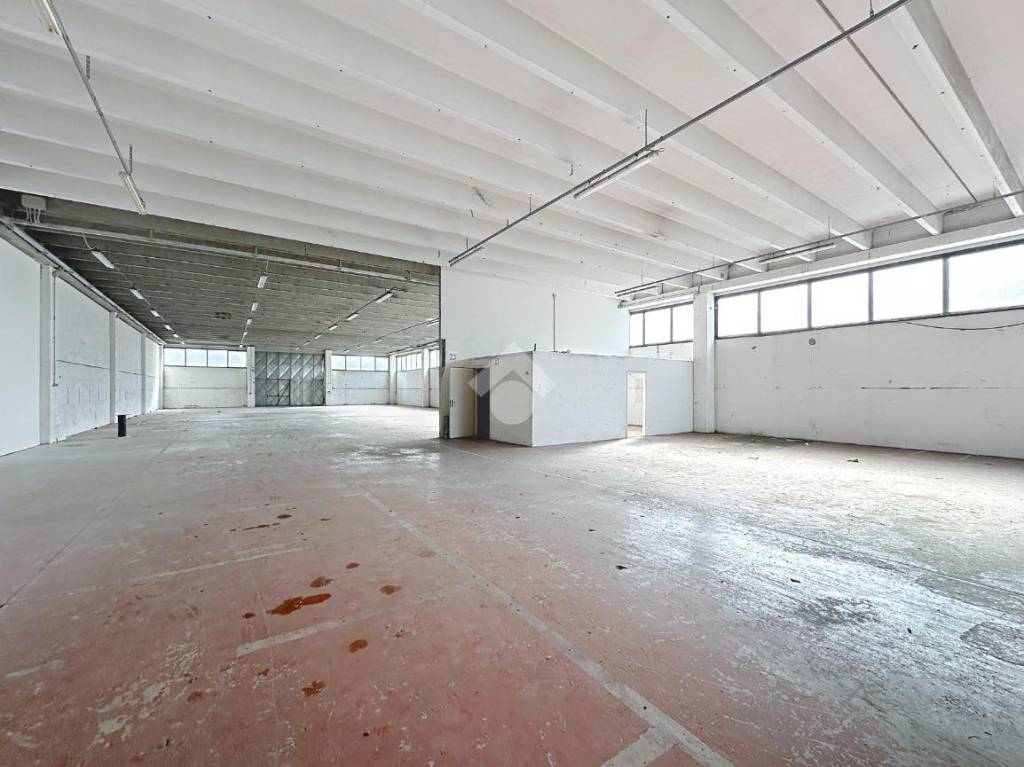 immagine annuncio 5 di 11