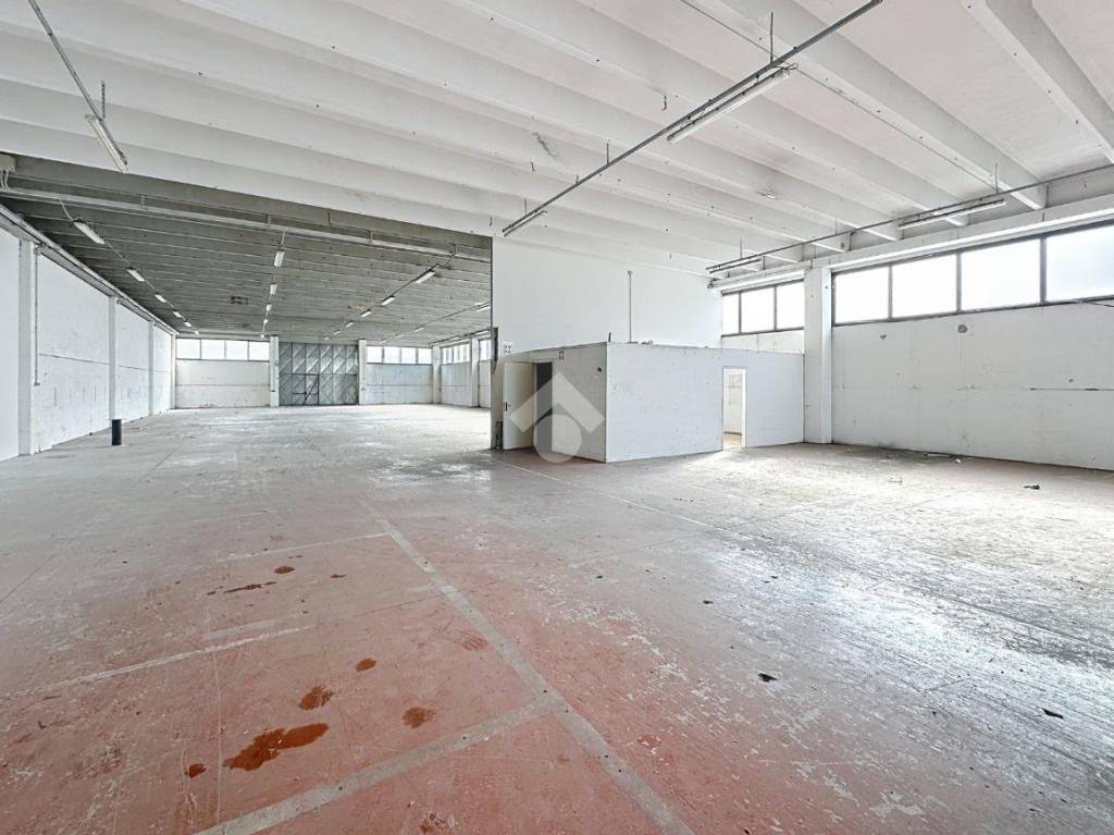 immagine annuncio 6 di 11