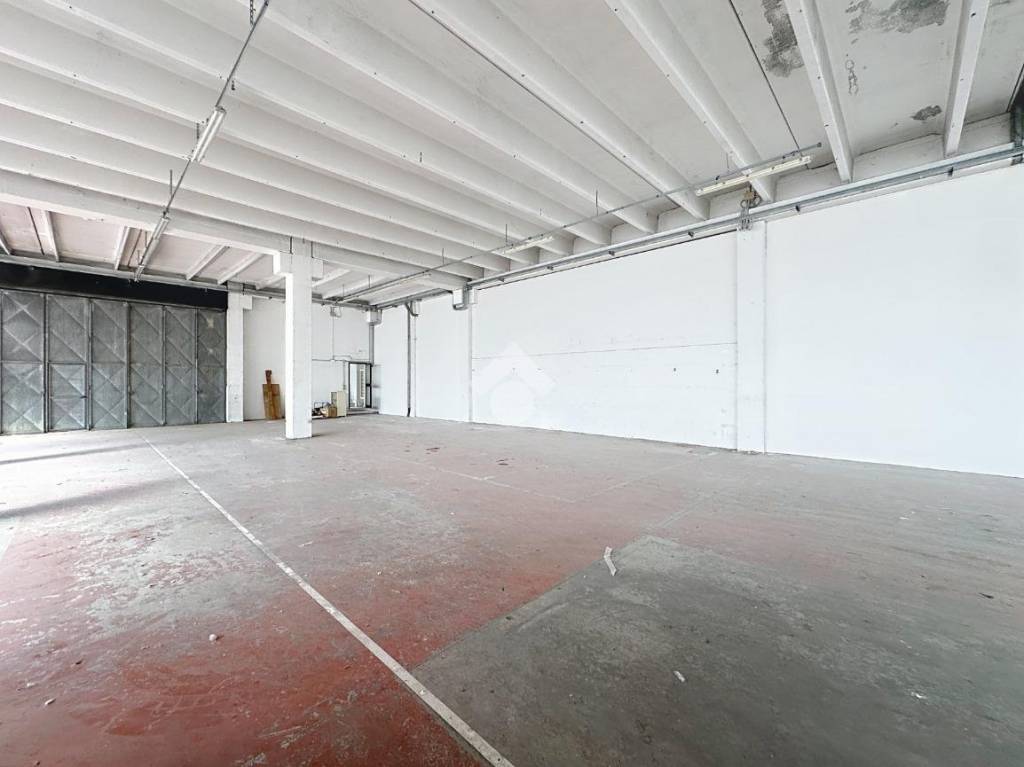 immagine annuncio 7 di 11