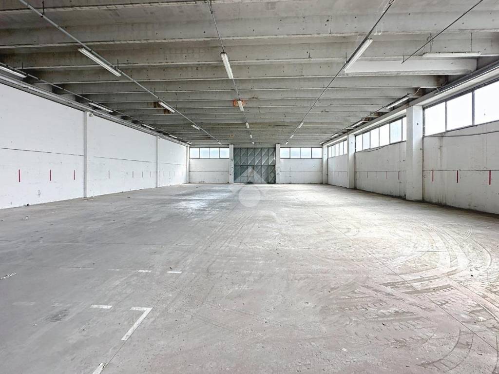 immagine annuncio 9 di 11