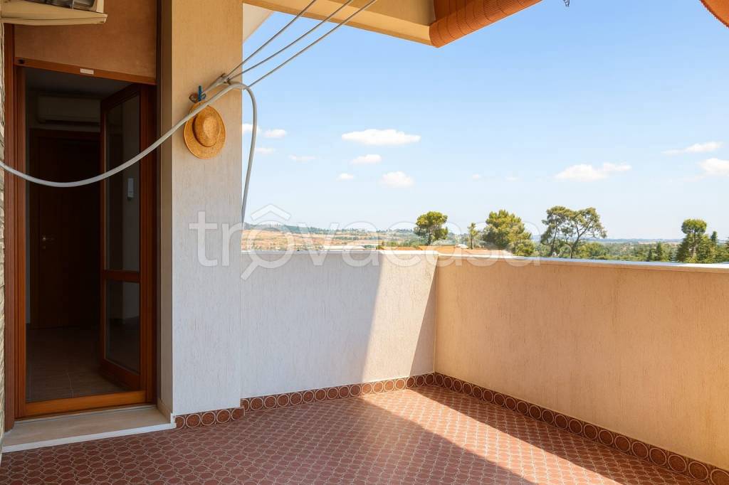 immagine annuncio 12 di 14